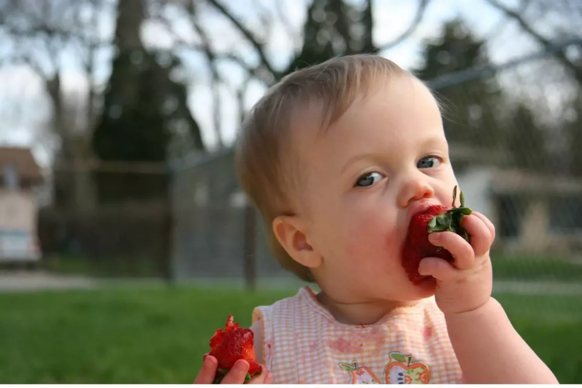 Małe dziecko je zębami mlecznymi owoc